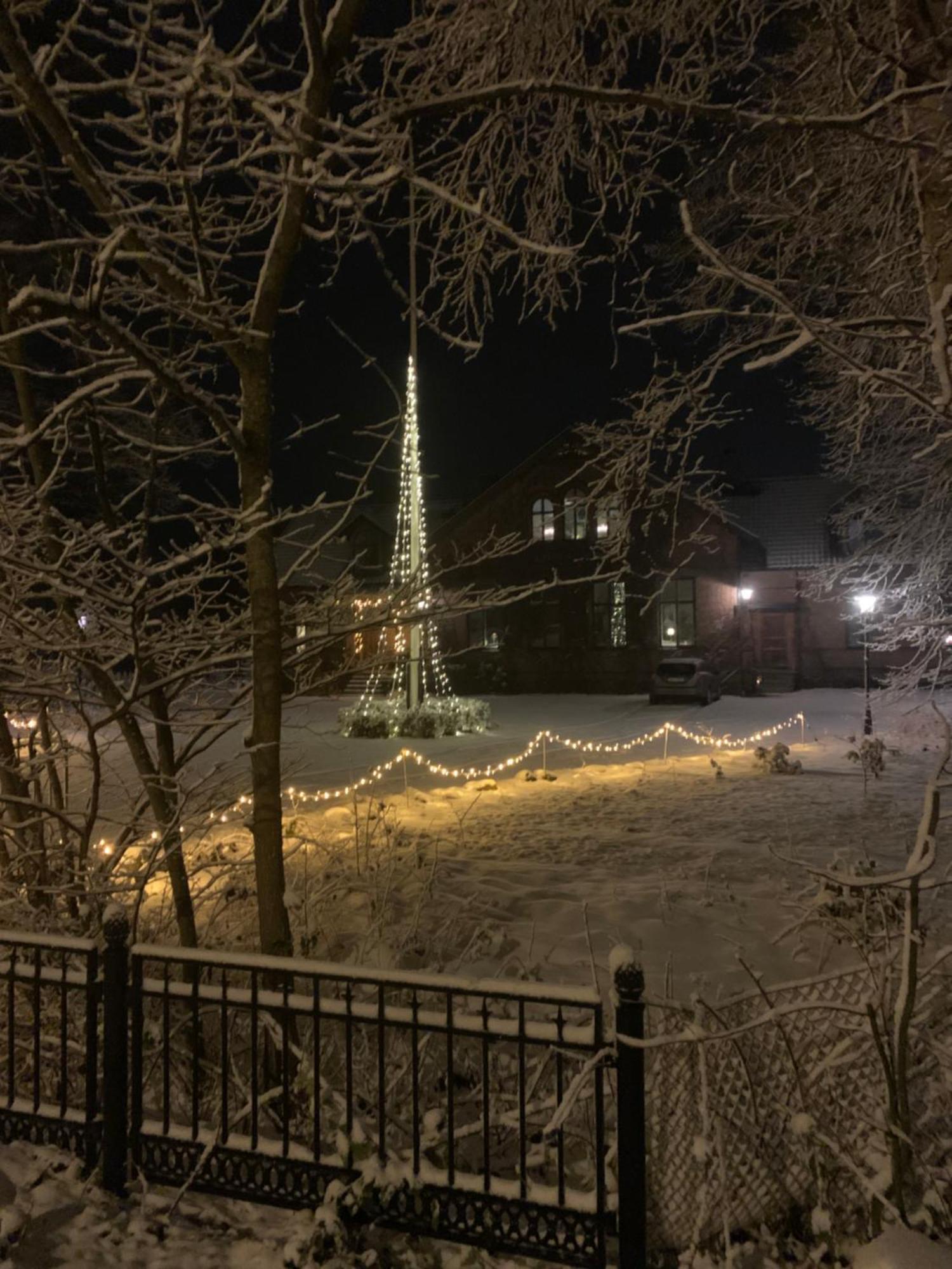 Vingårdens